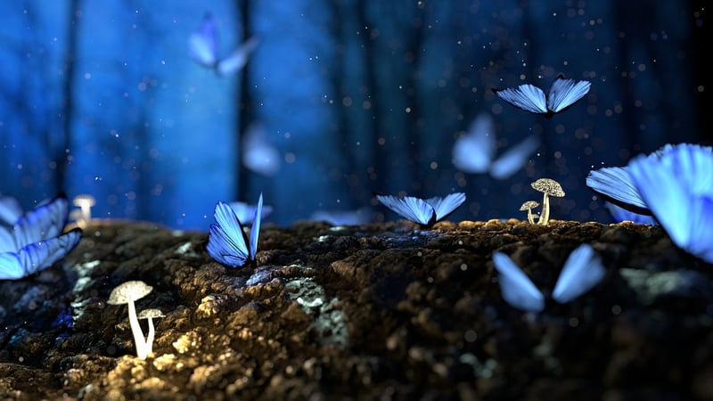 Elven Forest